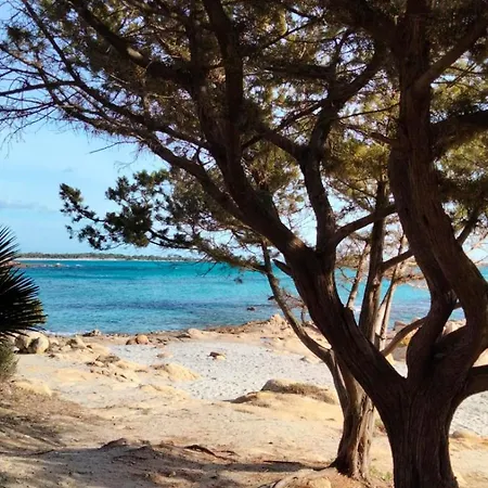 Zenour Tatil Evi Cala Liberotto